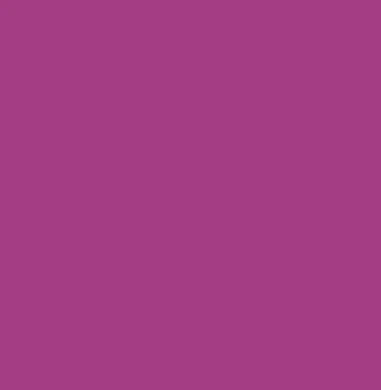 /member-icons/samy.webp